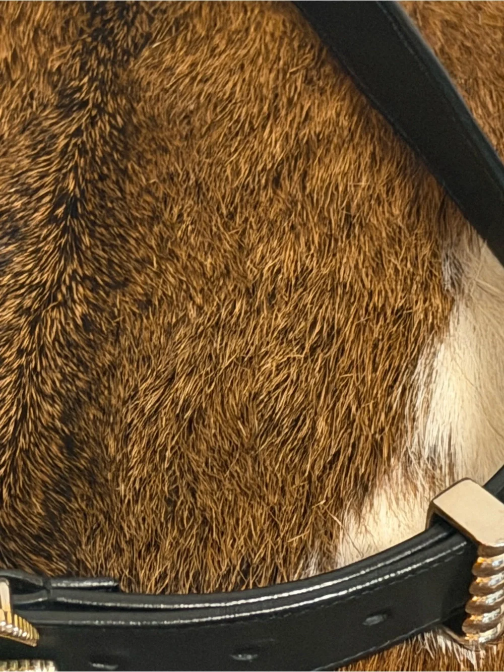 Gucci Black Leather Belt with Gold Buckle